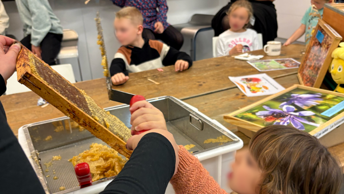 DLPK_article_animation_beecity